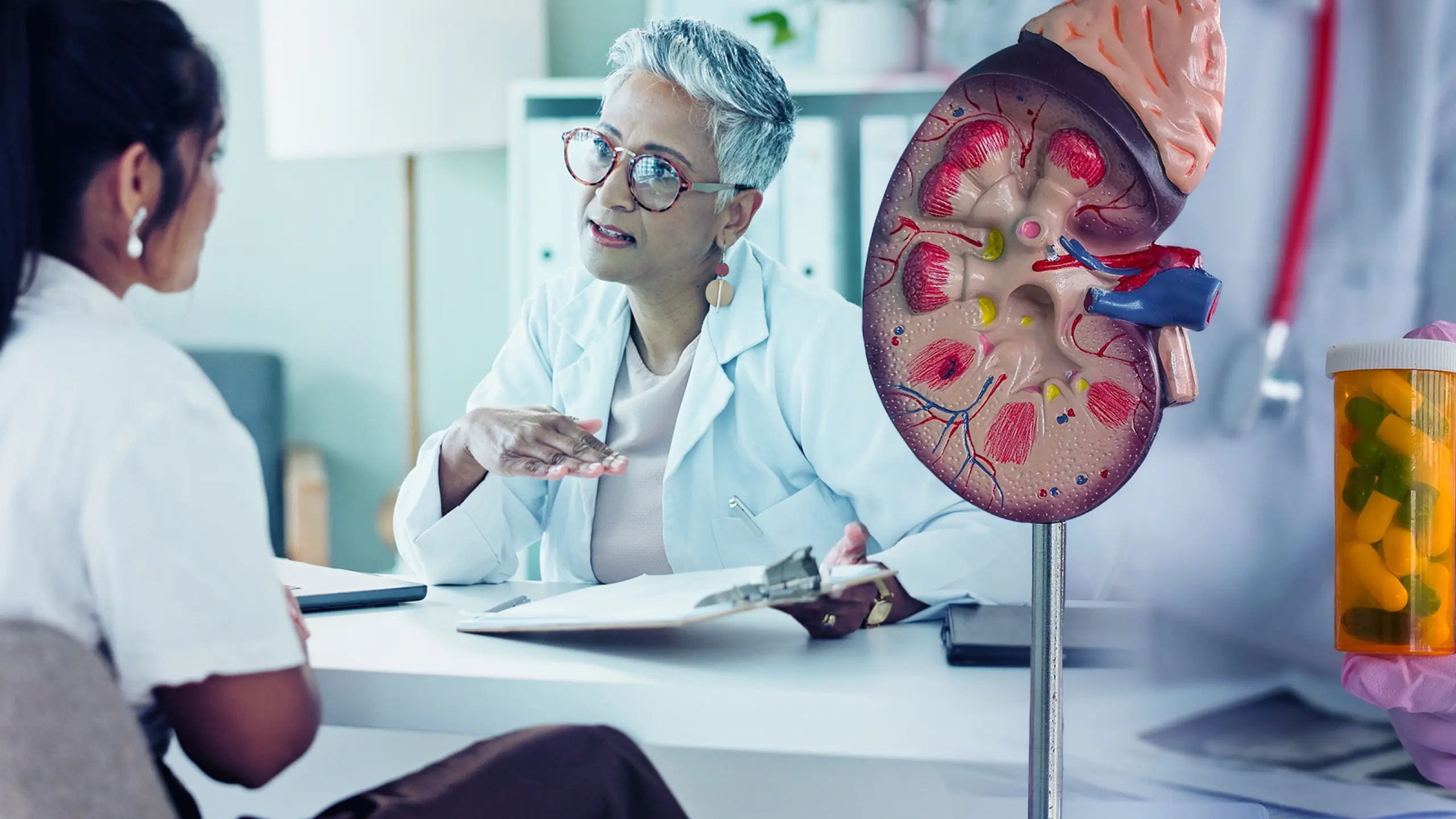 Physician in her office reviewing chronic conditions with a patient, with an anatomical kidney model and prescription bottle on the desk